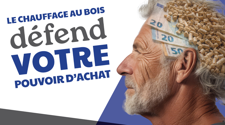 POUVOIR DACHAT